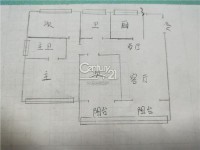 其它图