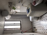 其它图