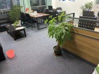 其它图