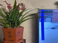 其它图